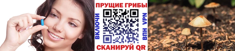 Псилоцибиновые грибы мицелий  Апшеронск 