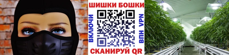 Бошки Шишки ГИДРОПОН Апшеронск